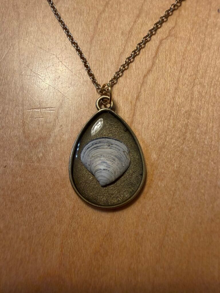 img 1162